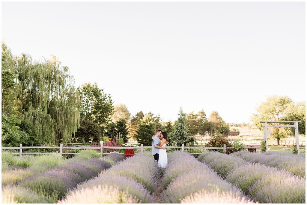 Lavender Field Engagement Session 